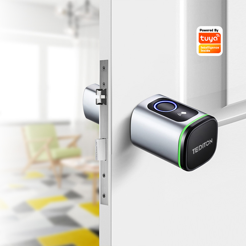 Tuya Wifi スマートシリンダー ドアロック 生体認証 - Airbnb Smart Home のレビューと価格