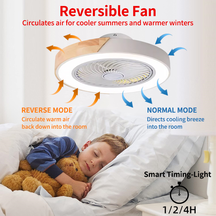 寝室用シーリングファンライト、インテリジェント音声制御の見え - Smart Ceiling Fan のレビューと価格