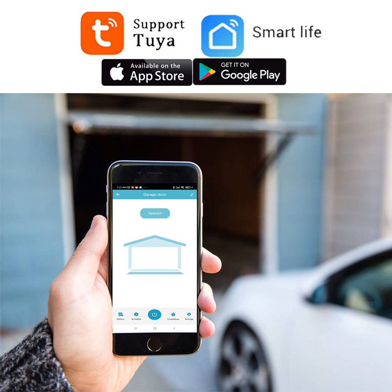 Tuya-ガレージドア用の接続されたガレージオープナーコント - Smart Garage Door Opener のレビューと価格