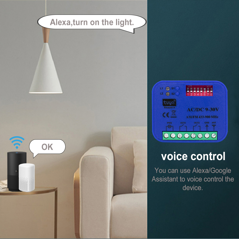 2CH 433-868MHz WiFi ガレージドアオープナ - Smart Garage Door Opener のレビューと価格